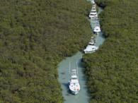 (Photo by Andy Newman/Florida Keys News Bureau via Getty Images)